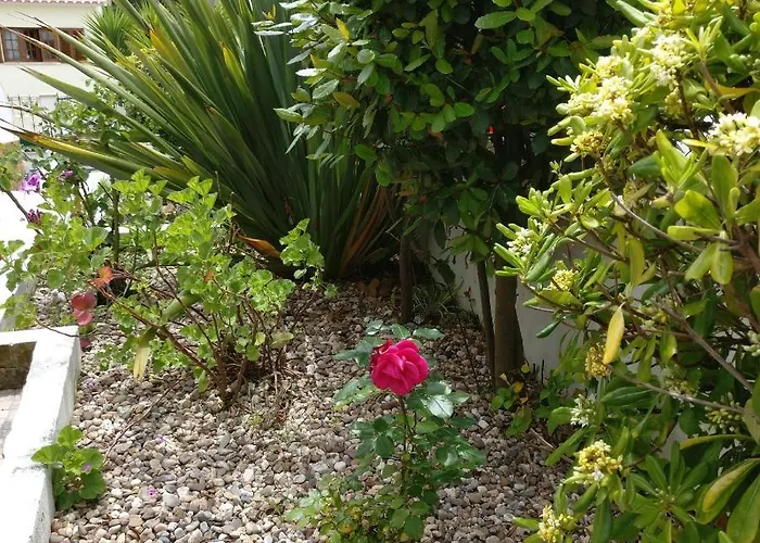 Casa Saloia Ericeira - Close To The Semesterbostad Baleia